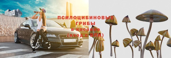 герыч Верхний Тагил