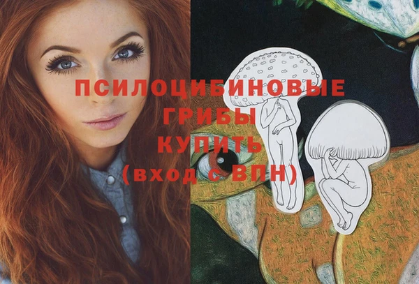 герыч Верхний Тагил